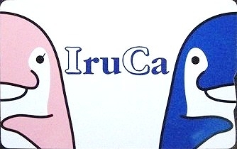 IruCa.jpg